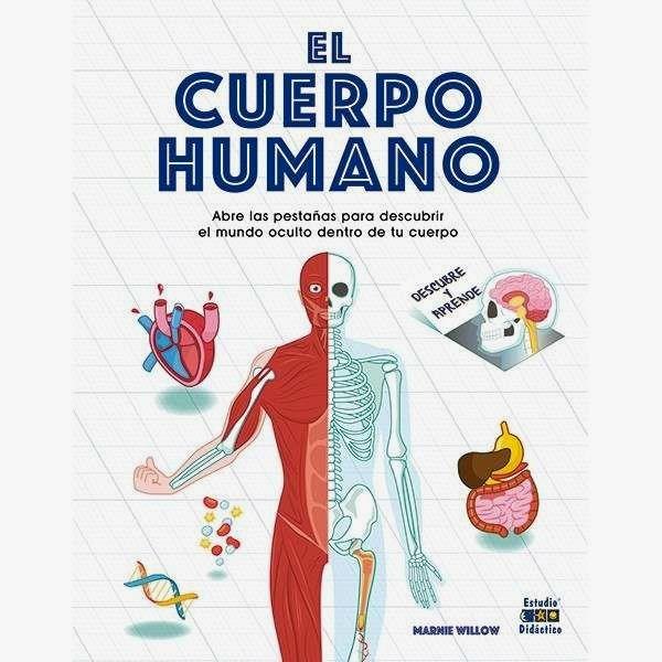El Cuerpo Humano Abre Las Pestañas