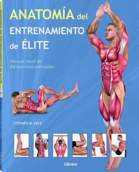 Anatomia Del Entrenamiento De Elite