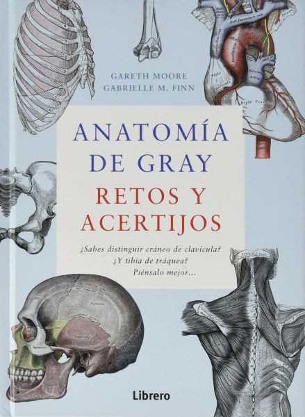 Anatomia De Gray