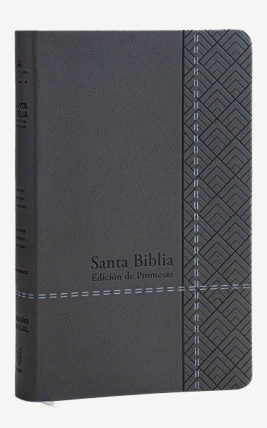 Santa Biblia De Promesas Rvr-1960 Tamaño Manual