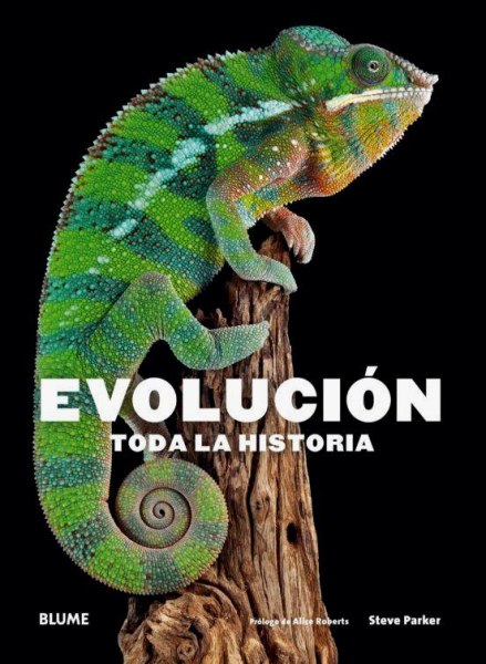Evolucion Toda La Historia